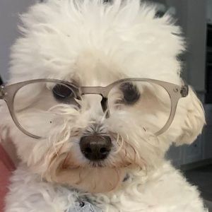 Meet your Posher, Cheryl